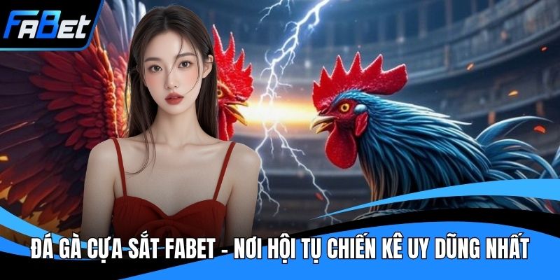 Đá Gà Cựa Sắt Fabet - Nơi Hội Tụ Chiến Kê Uy Dũng Nhất