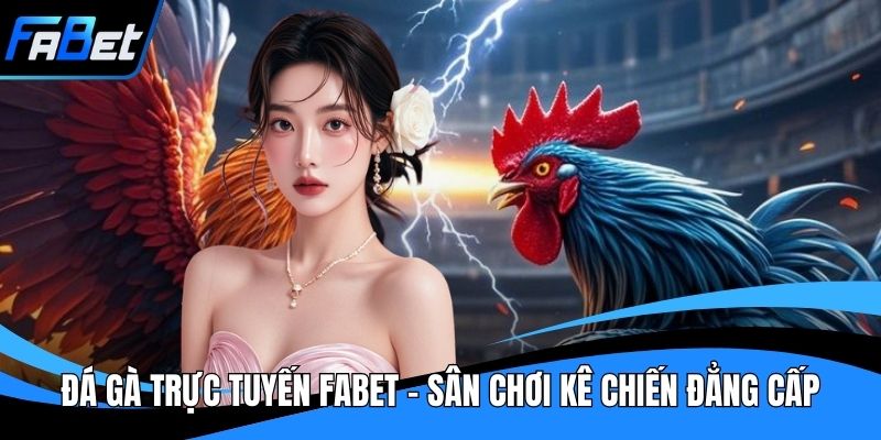 Đá Gà Trực Tuyến Fabet - Sân Chơi Kê Chiến Đẳng Cấp