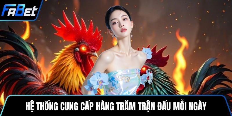 Hệ thống cung cấp hàng trăm trận đấu mỗi ngày