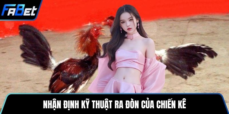 Nhận định kỹ thuật ra đòn của chiến kê