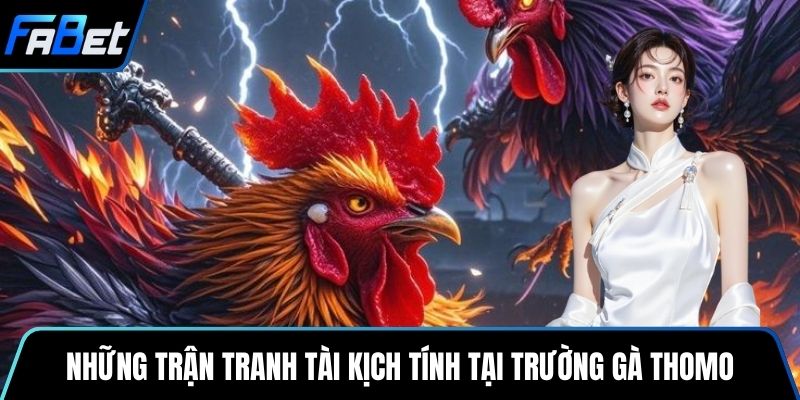 Những trận tranh tài kịch tính tại trường gà Thomo