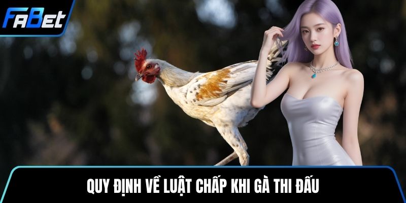 Quy định về luật chấp khi gà thi đấu