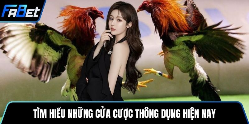 Tìm hiểu những cửa cược thông dụng hiện nay