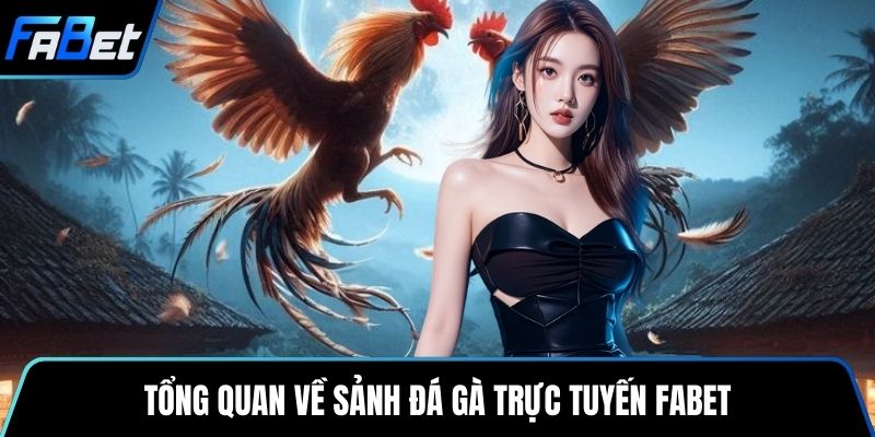 Tổng quan về sảnh đá gà trực tuyến Fabet
